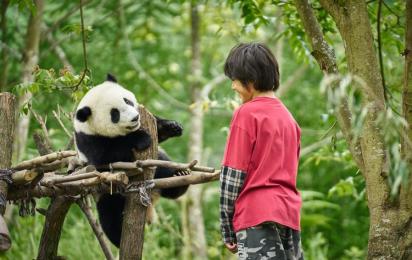 14. 8. | Panda a já 14. 8. | Panda a já