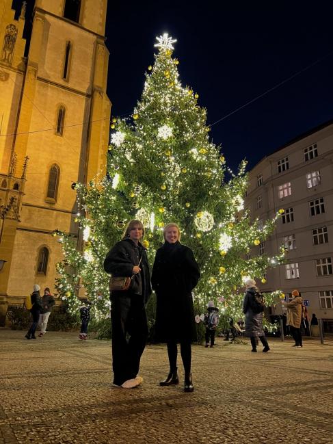 Rozsviťme Vánoce! Přidejte se s námi s k výzvě Mamin s rakovinou Rozsviťme Vánoce! Přidejte se s námi s k výzvě Mamin s rakovinou